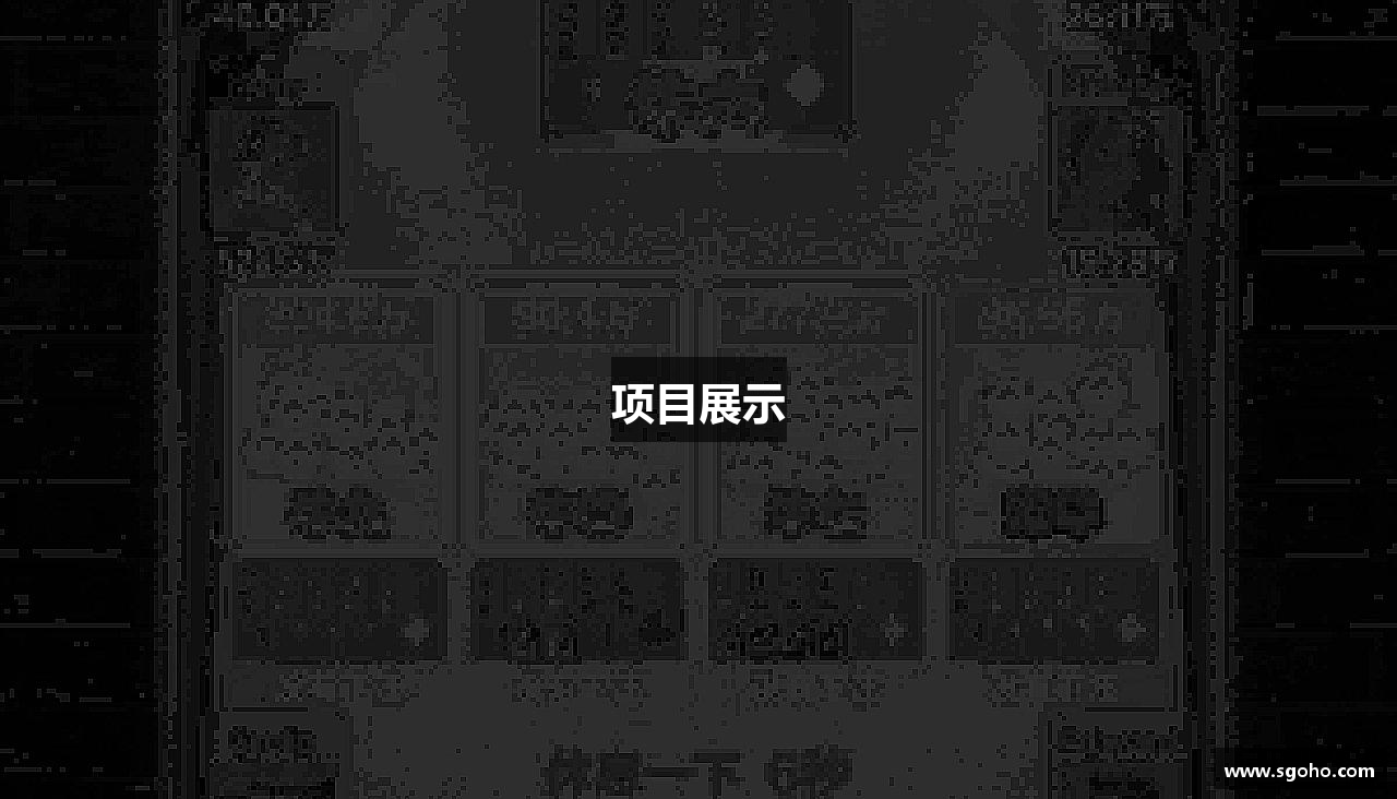 项目展示